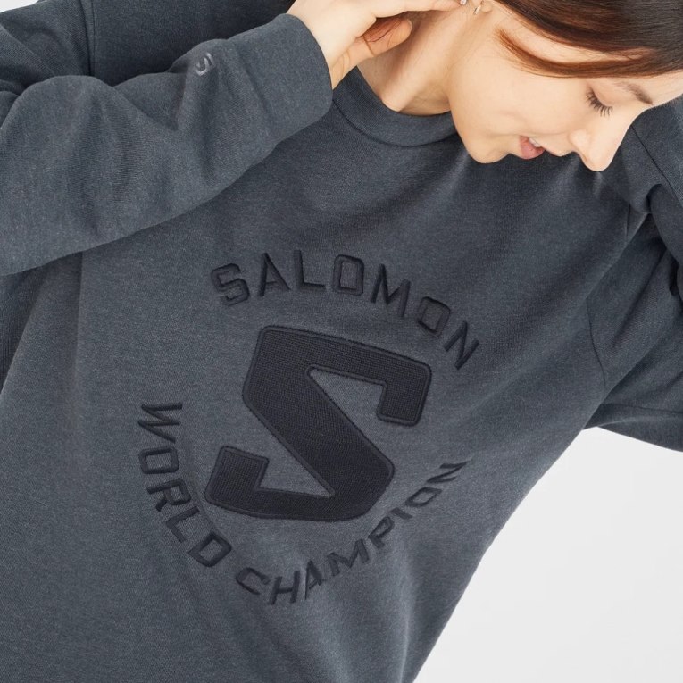 Dark Grey Salomon Outlife Logo Summer Heather Women's Sweatshirt | PH 05372L